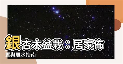 銀杏木盆栽|銀杏木盆栽如何照顧？冬季保暖與水份控管指南 